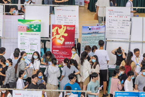 畢業(yè)生就業(yè)壓力加劇 河南啟動(dòng)長(zhǎng)期未就業(yè)群體動(dòng)態(tài)清零計(jì)劃